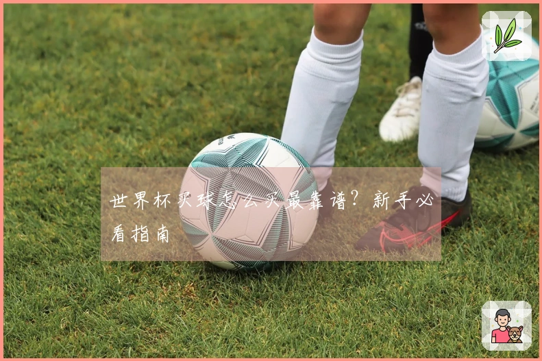 世界杯买球怎么买最靠谱？新手必看指南