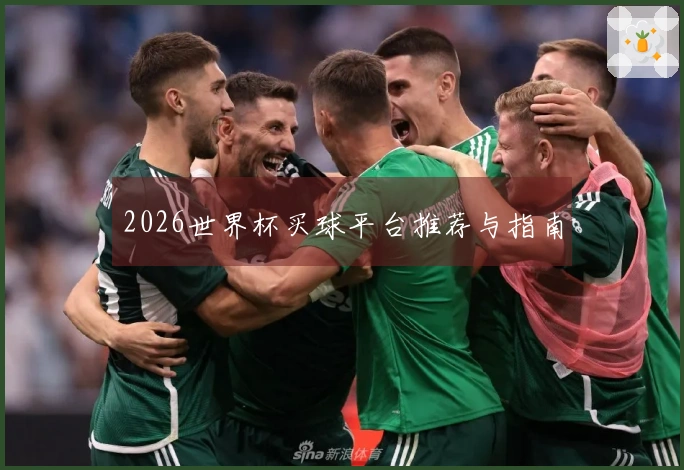 2026世界杯买球平台推荐与指南
