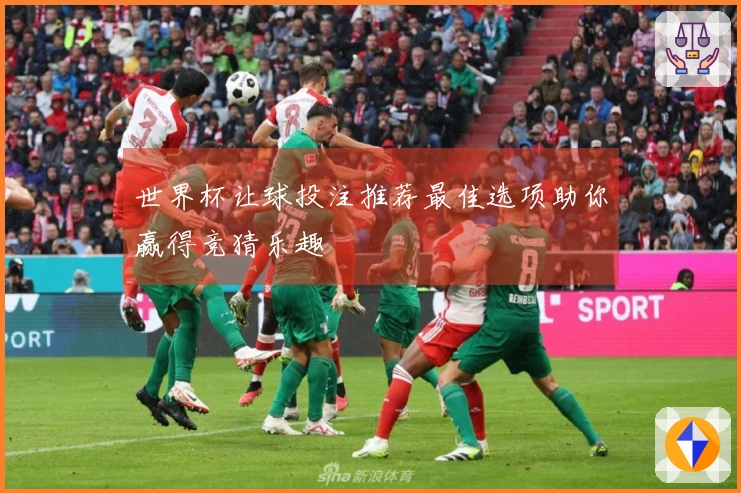 世界杯让球投注推荐最佳选项助你赢得竞猜乐趣