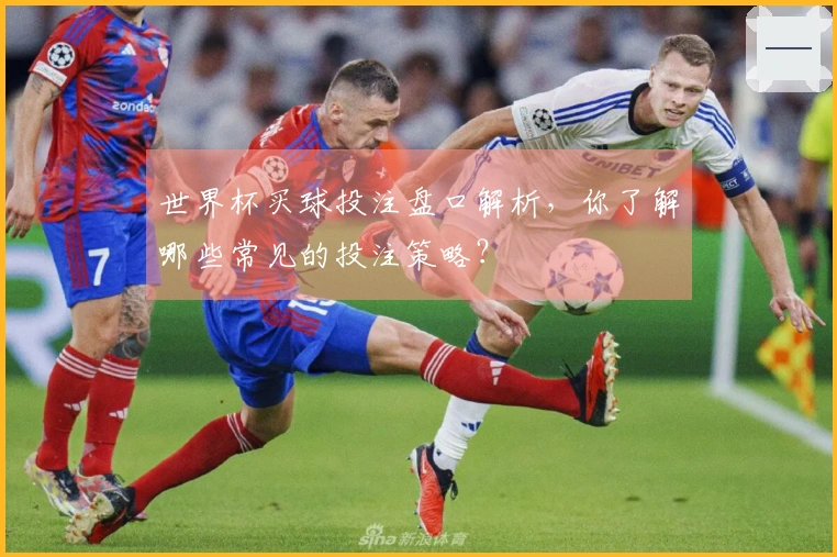 世界杯买球投注盘口解析，你了解哪些常见的投注策略？