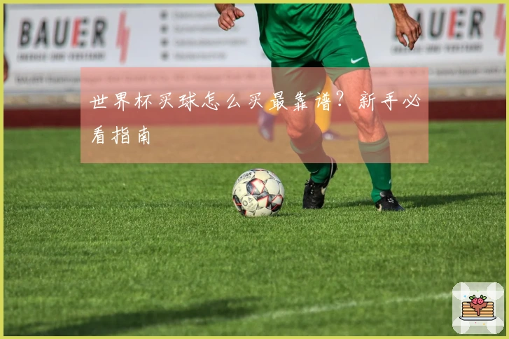 世界杯买球怎么买最靠谱？新手必看指南