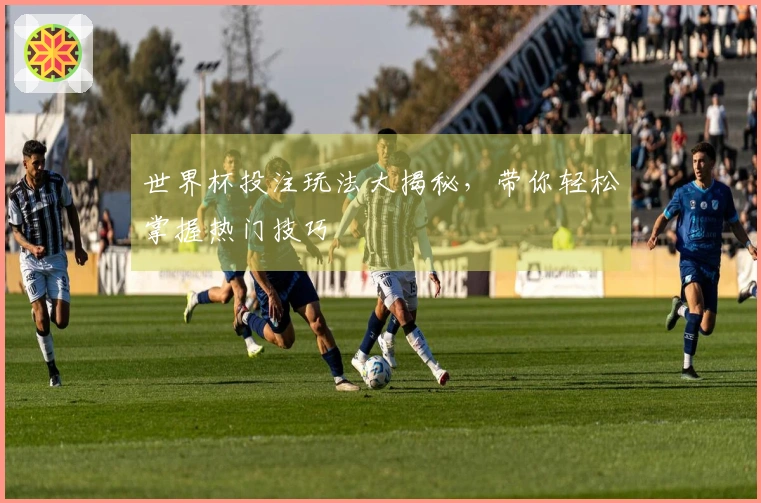 世界杯投注玩法大揭秘，带你轻松掌握热门技巧