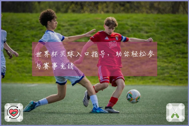 世界杯买球入口指导，助你轻松参与赛事竞猜