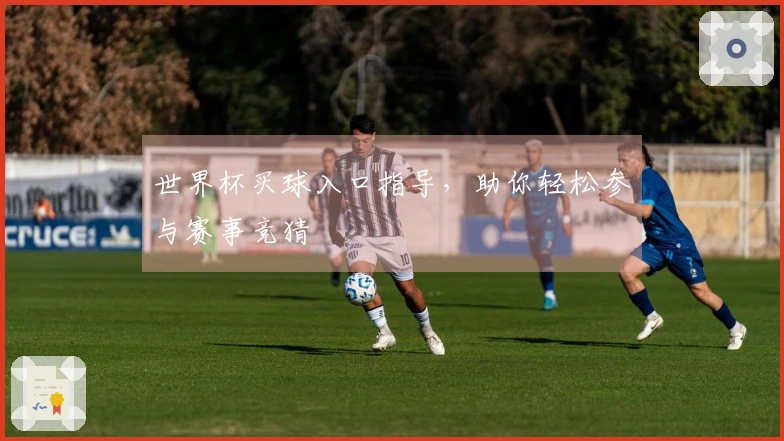 世界杯买球入口指导，助你轻松参与赛事竞猜